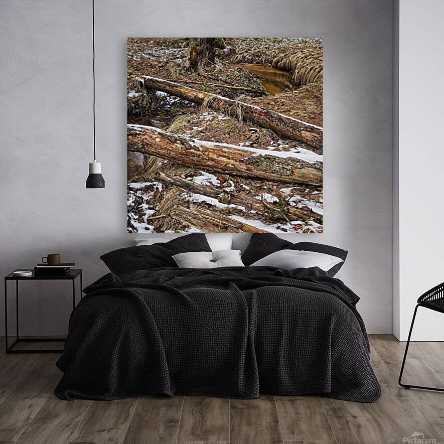 Fallen trees Reproduction