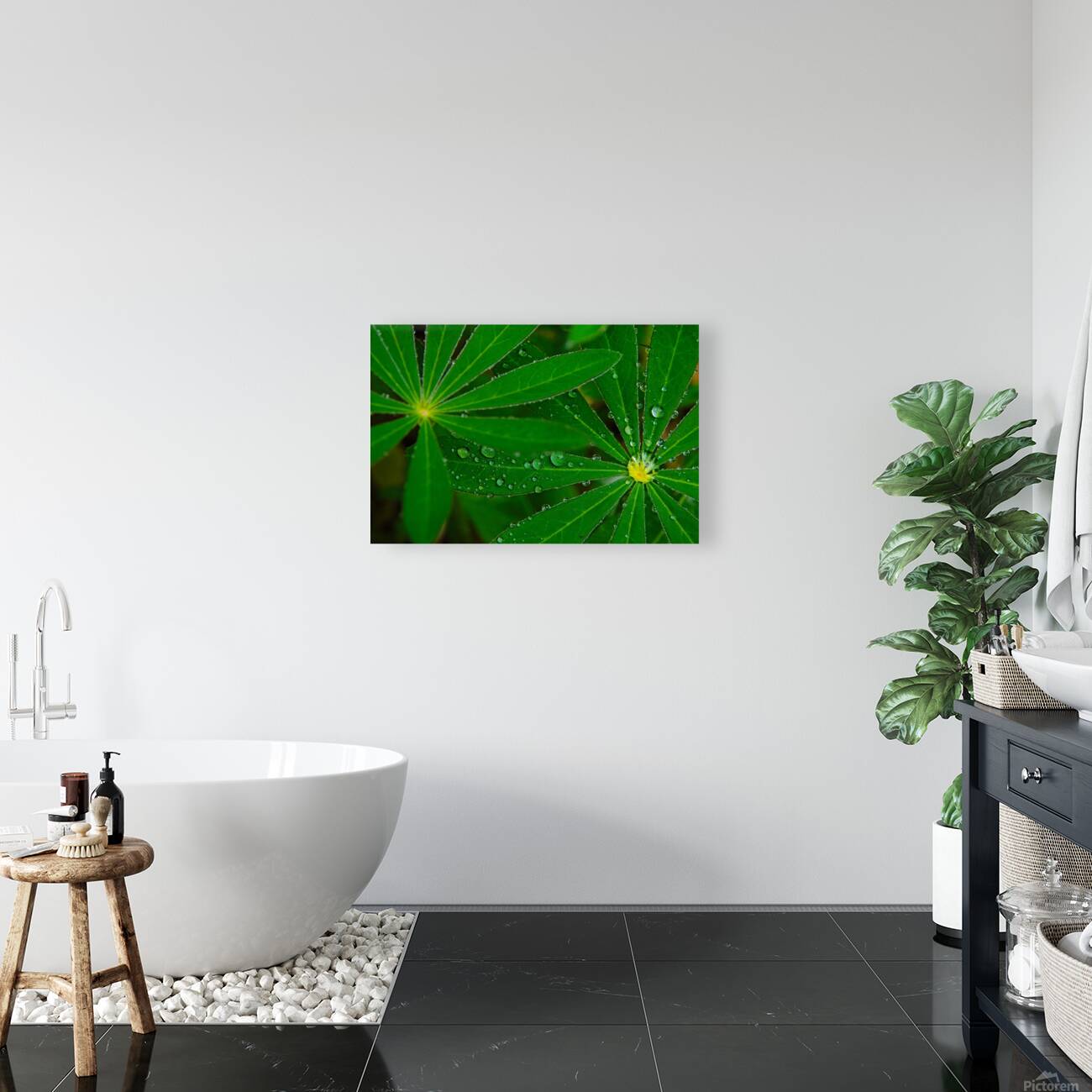 Green umbrella Reproduction