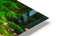 Forest wood HD Metal print