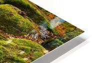 Stream between stones III HD Metal print