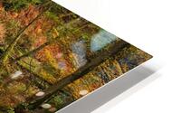  Black river HD Metal print