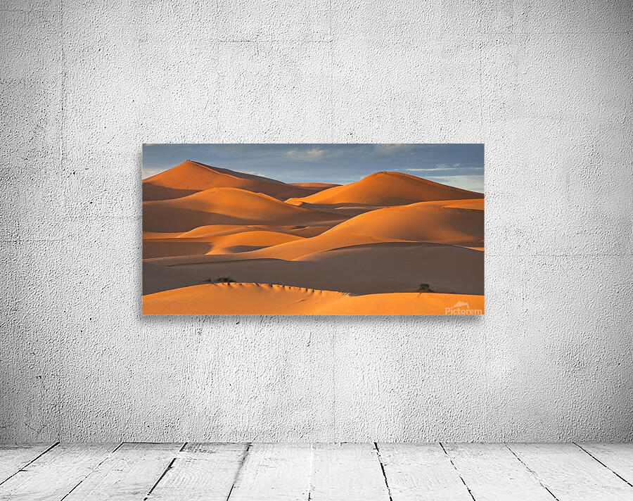 Sunset in the Sahara Desert Landscape Panorama - Morocco Africa by