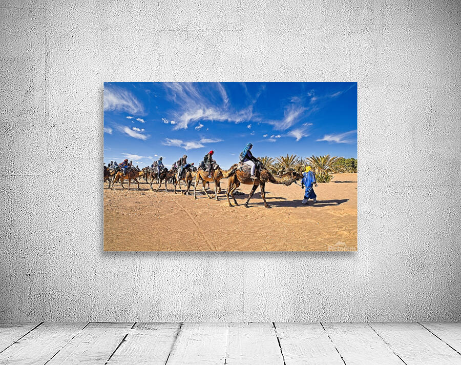 Camel caravan Sahara desert - Morocco Africa Wall Preview