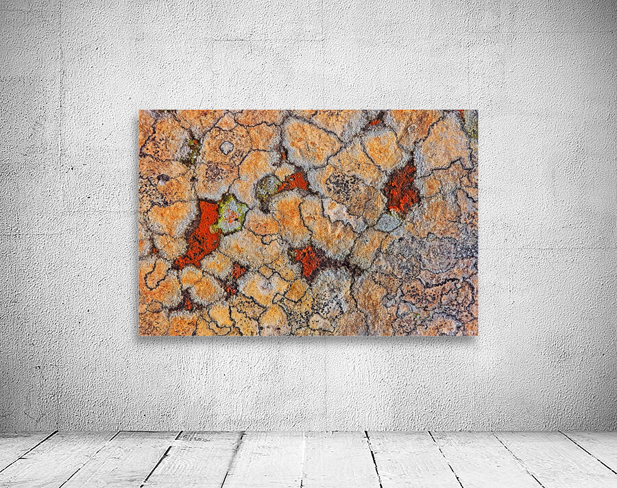 World map I Wall Preview