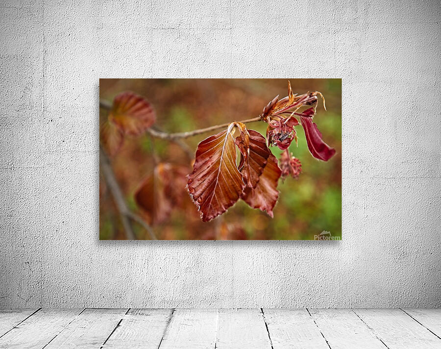 Spring leaves Wall Preview