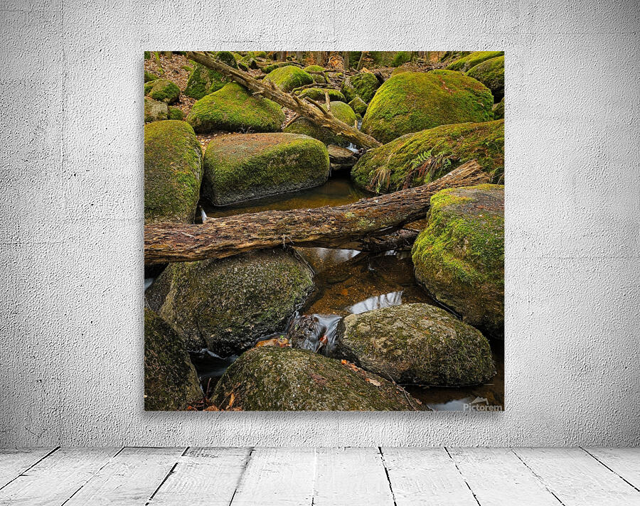 Stream between stones II Wall Preview