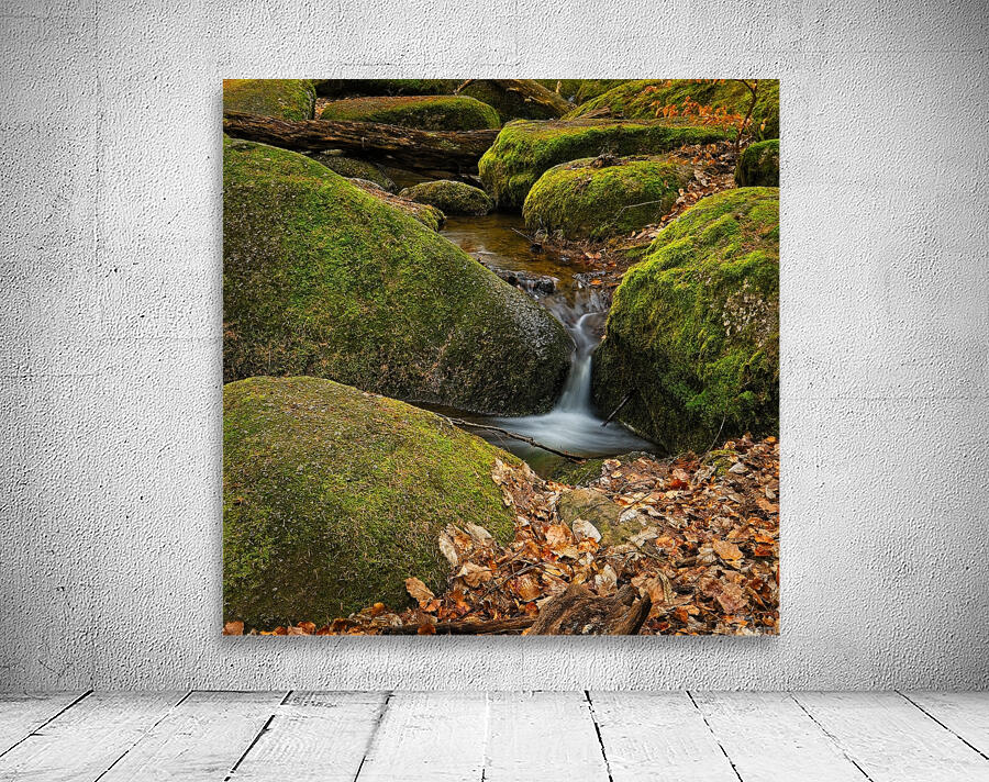 Stream between stones III Wall Preview