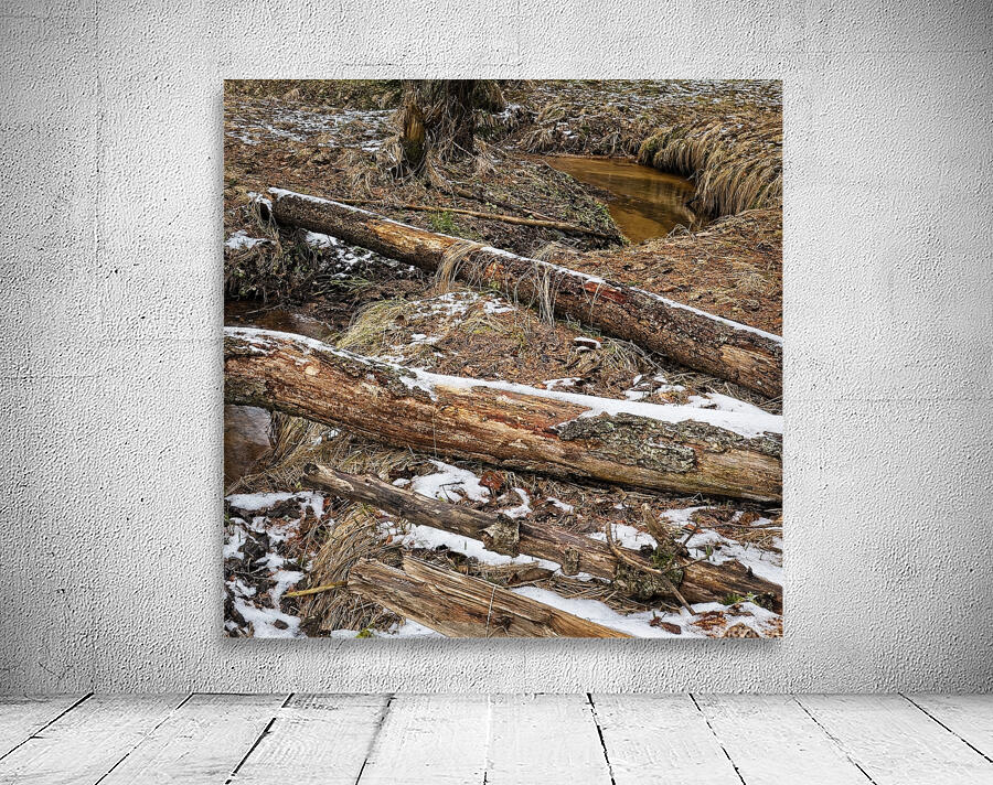 Fallen trees Wall Preview