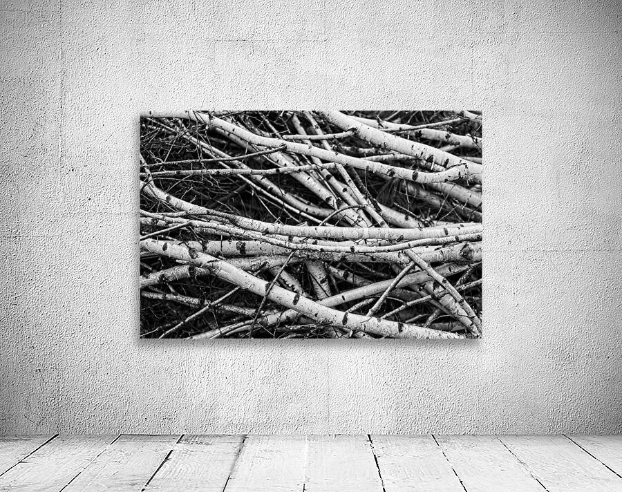 Birches II Wall Preview