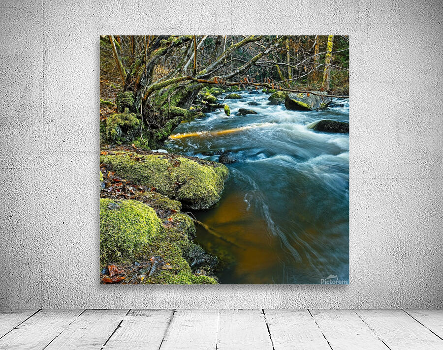 Winter river Wall Preview
