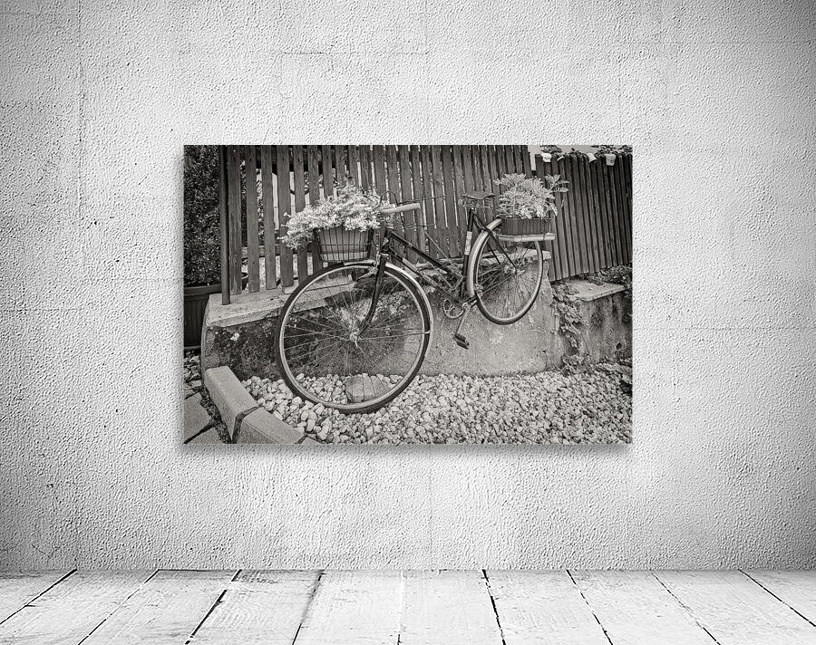 Bicycle Wall Preview