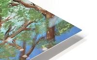 IMG 6166 HD Metal print