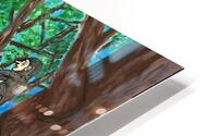 IMG 5880 HD Metal print