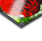 Queen of Hearts  Acrylic print