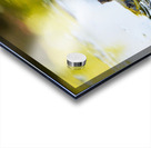 Theodore  Acrylic print