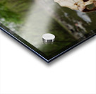 Deer Skull Acrylic print