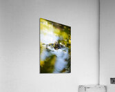 Theodore  Acrylic Print