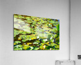 The 3 Amigos  Acrylic Print