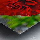 Queen of Hearts  Metal print