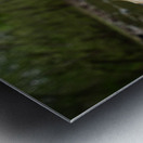 Deer Skull Metal print