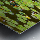 The 3 Amigos  Metal print