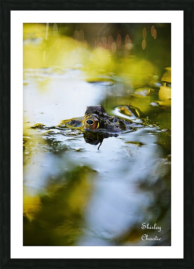 Theodore  Picture Frame print