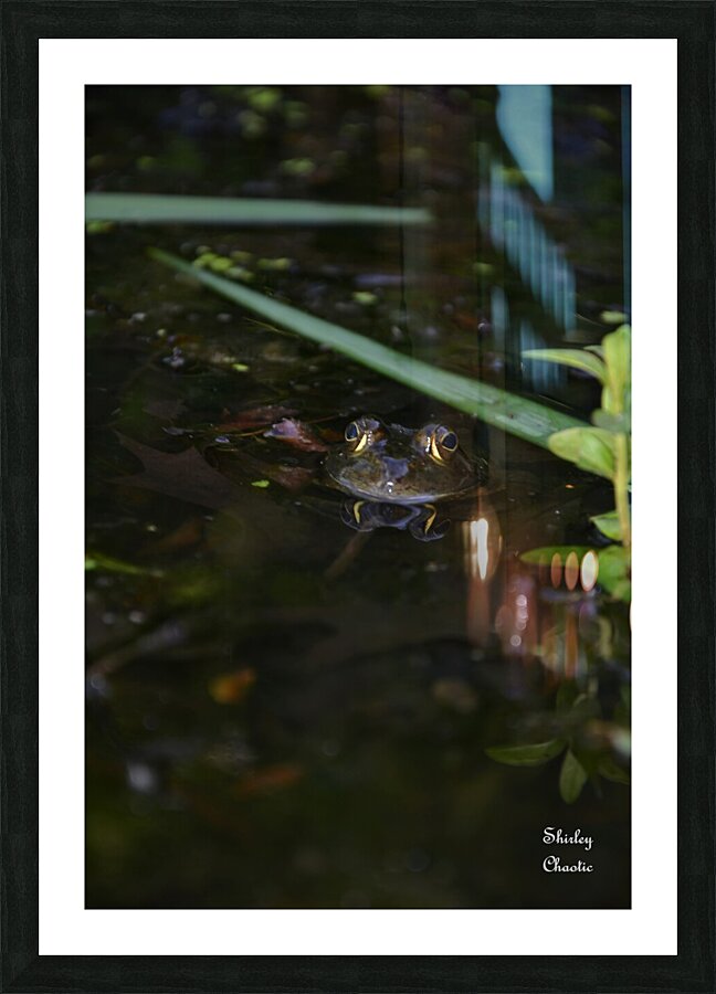 Theo Picture Frame print