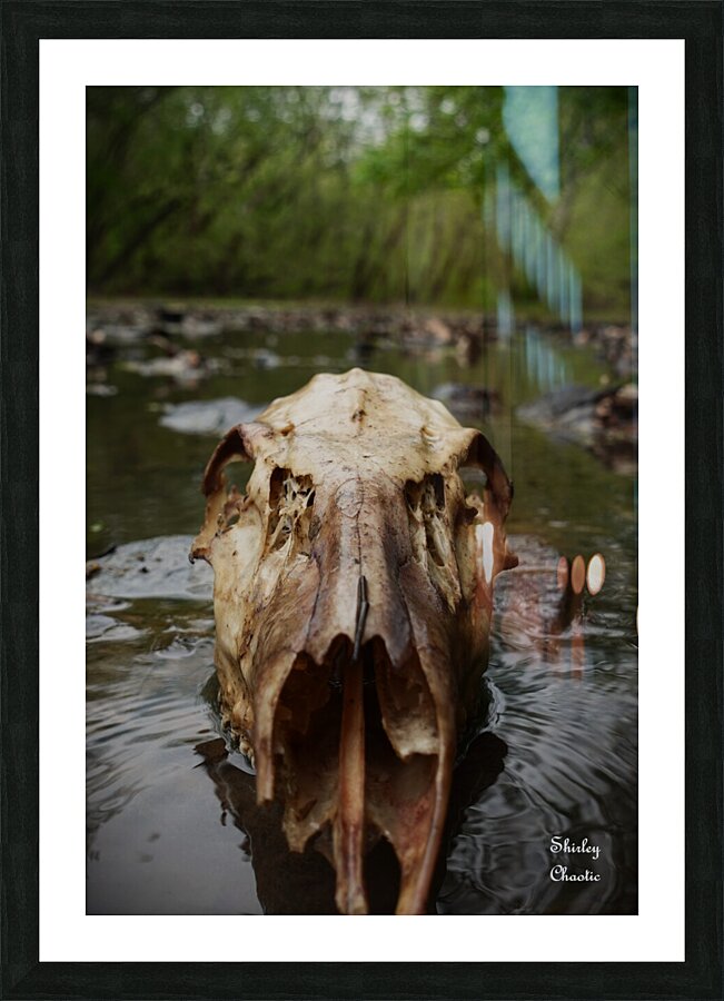 Deer Skull Picture Frame print
