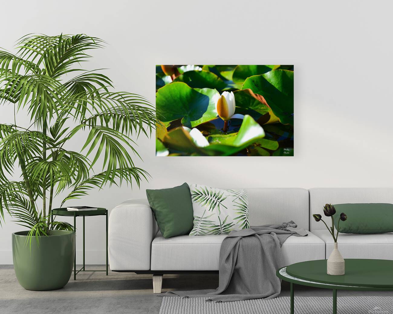 Growth  Reproduction