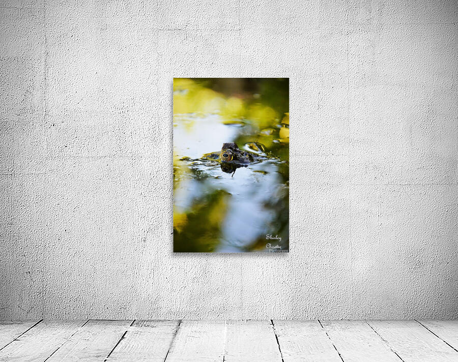 Theodore  Wall Preview