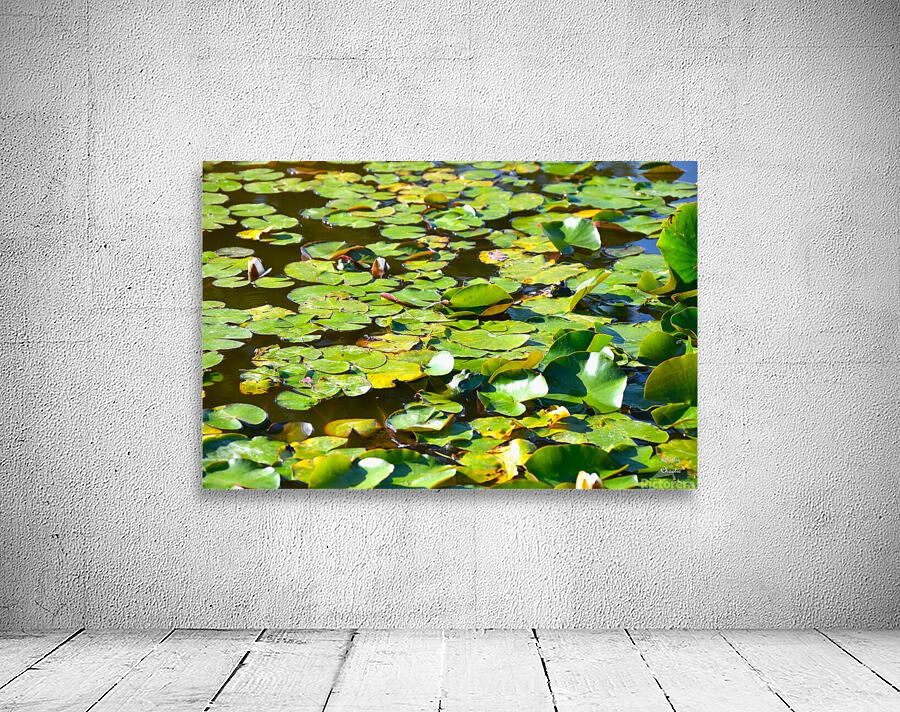 The 3 Amigos  Wall Preview