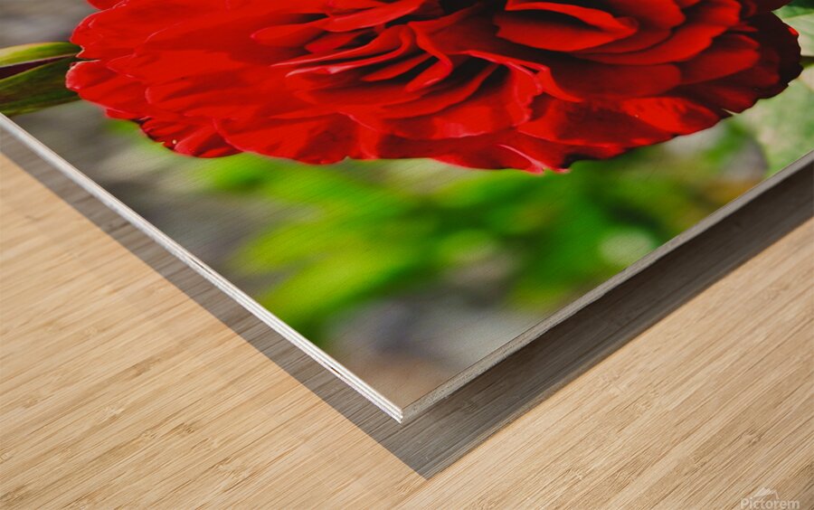 Queen of Hearts  Wood print