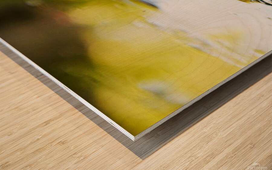 Theodore  Wood print