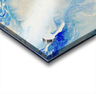 fullsizeoutput 10c Acrylic print
