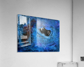 IMG 2515 Acrylic Print