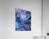 fullsizeoutput 15c Acrylic Print