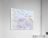 fullsizeoutput 16a Acrylic Print