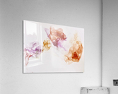 fullsizeoutput 18c Acrylic Print