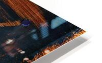 IMG 2171 HD Metal print