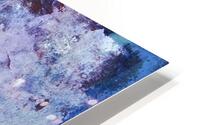 IMG 2260 HD Metal print