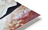 Bombay HD Metal print