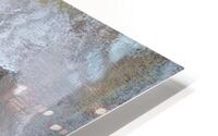 IMG 2466 HD Metal print
