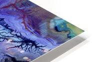 fullsizeoutput 15c HD Metal print