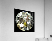Planet Stone Acrylic Print