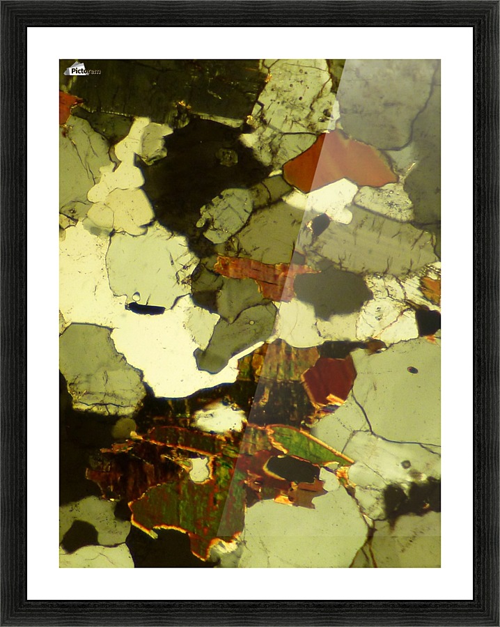 Forest Primeval Picture Frame print