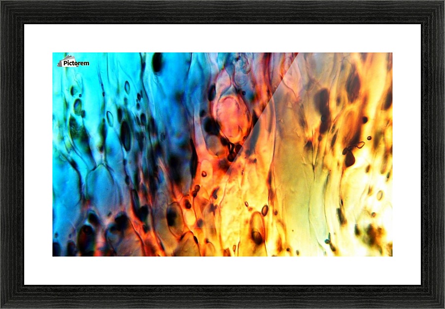 Fire Woman Picture Frame print
