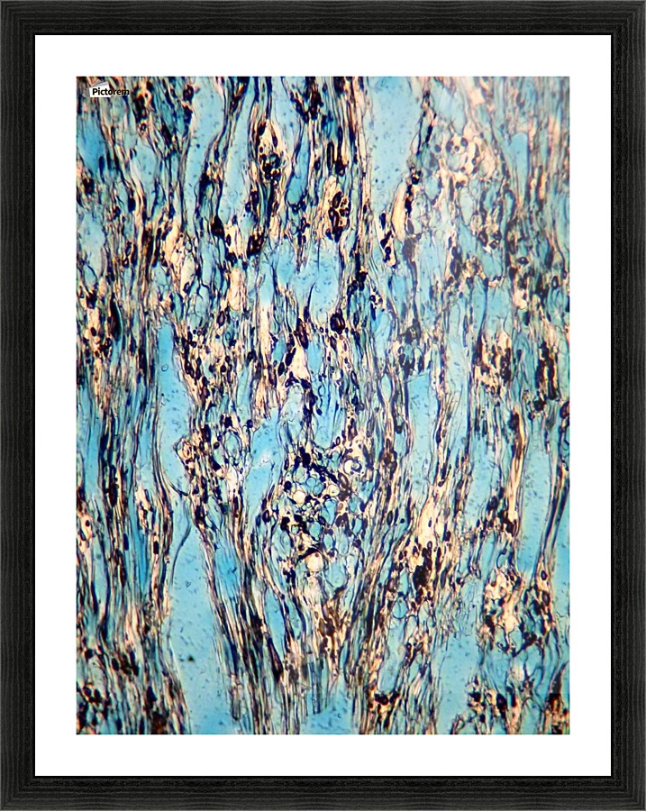 Waterways Picture Frame print