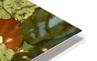 Forest Primeval HD Metal print