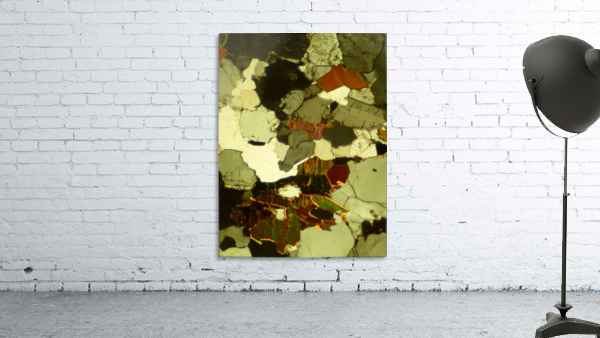 Forest Primeval Wall Preview