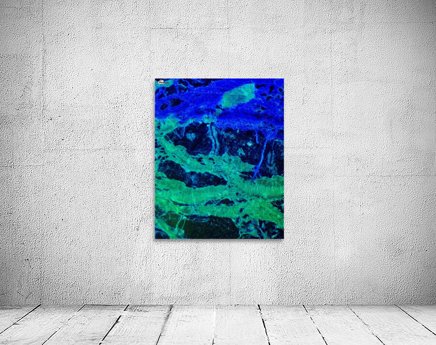 Untitled Wall Preview